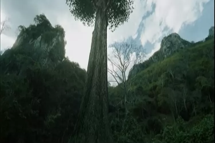 Sinopsis Film Horor Thailand Takien:The Haunted Tree Tayang 1 November 2022 di ANTV Tentang Pohon Angker Ada Penunggunya (Tangkapan Layar Akun Youtube SahaMongkolMedia)