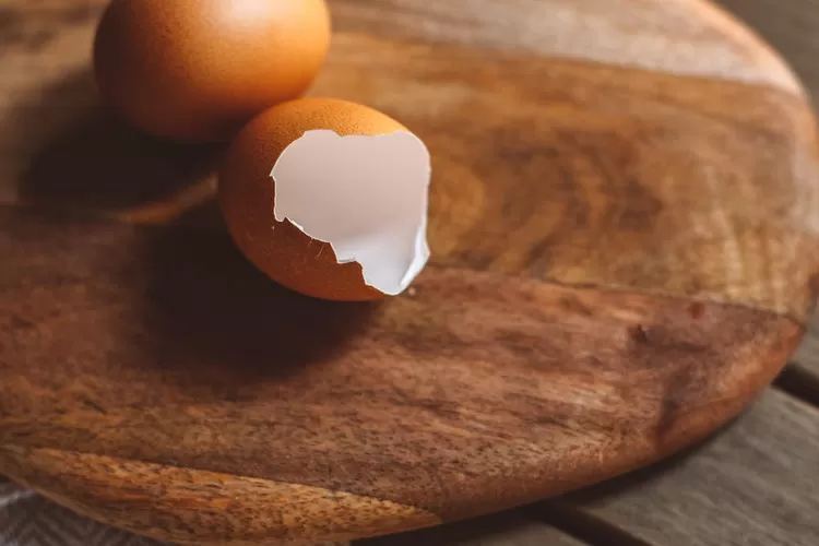 Kandungan Cangkang Telur ayam kaya berbagai manfaat. (Gorajuara/ dok: Pexels/ ROMAN ODINTSOV)