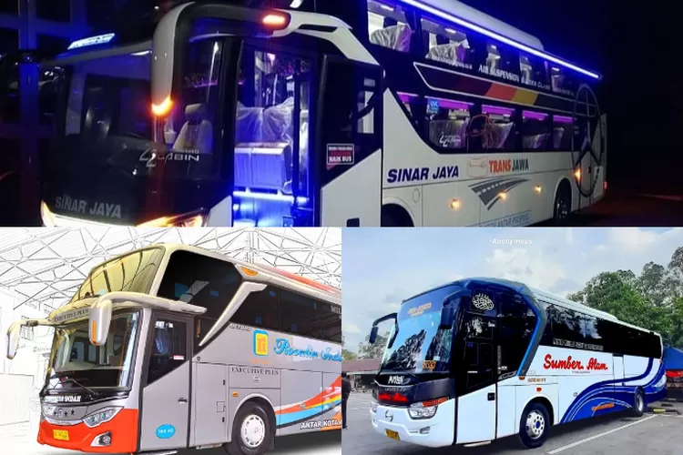 Rekomendasi bus Jakarta - Yogyakarta (Kolase Instagram/@sumberalam.id /@rosaliaindah.official /@sinarjaya.group)