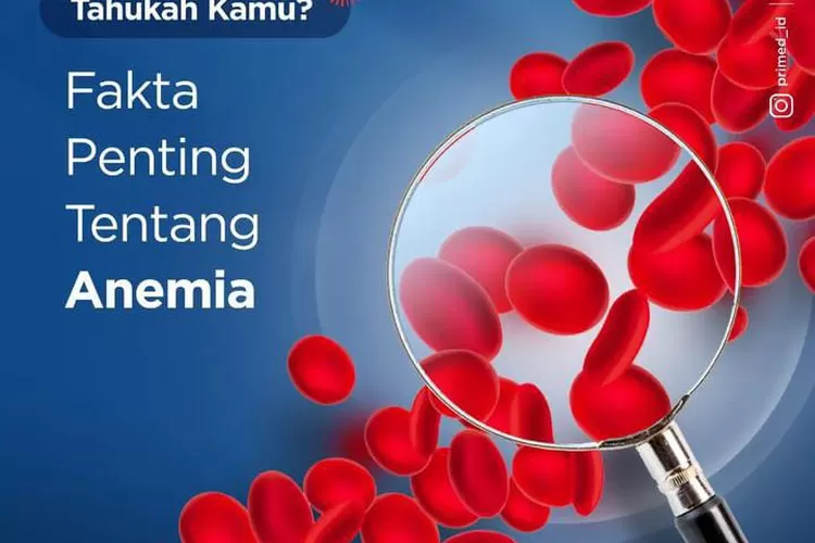 ilustrasi Anemia