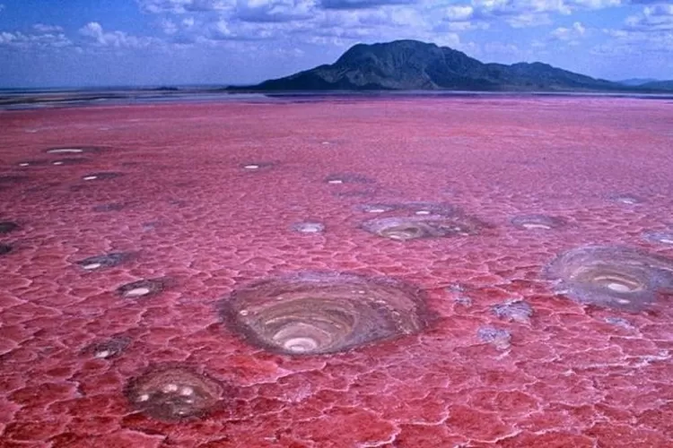 Foto: Ilustrasi danau natron merah yang mampu membuat hewan mematung dan mati mendadak (Istimewa).