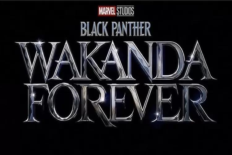 Sinopsis Black Panther: Wakanda Forever Tayang 9 November 2022 di Bioskop Tanpa King T'Challa Apakah Seru? Sima Infonya (www.instagram.com/@thekingdomofwakanda)