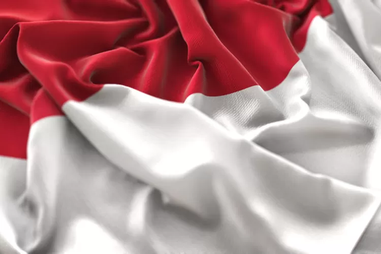 Contoh Puisi Hari Pahlawan 10 November Singkat dan Terbaik untuk Anak SD, SMP, SMA : Ada Karya Chairil Anwar (gorajuara.com/dok : freepik)