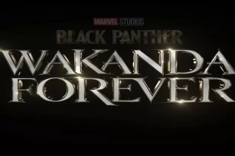 Black Panther:Wakanda Forever Film Marvel Studios Terbaik 2022 (Instagram /@Marvel)