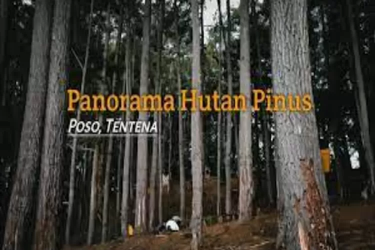 Lagi Hits !!! Berikut 3 Destinasi Wisata Alam Paling Populer Di Poso, Nomor 3 Paling Instagramable (Youtube Channel Nesting Gosong)
