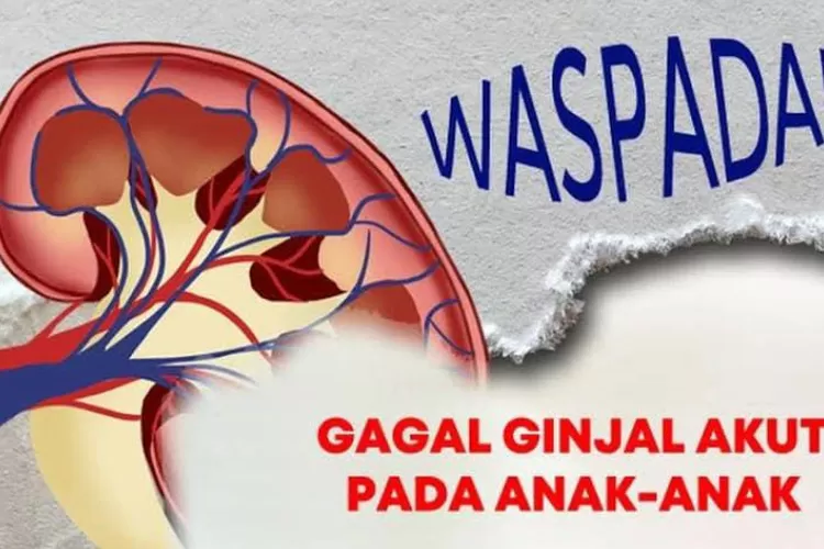 BPKM akan mendampingi korban gagal ginjal akut anak