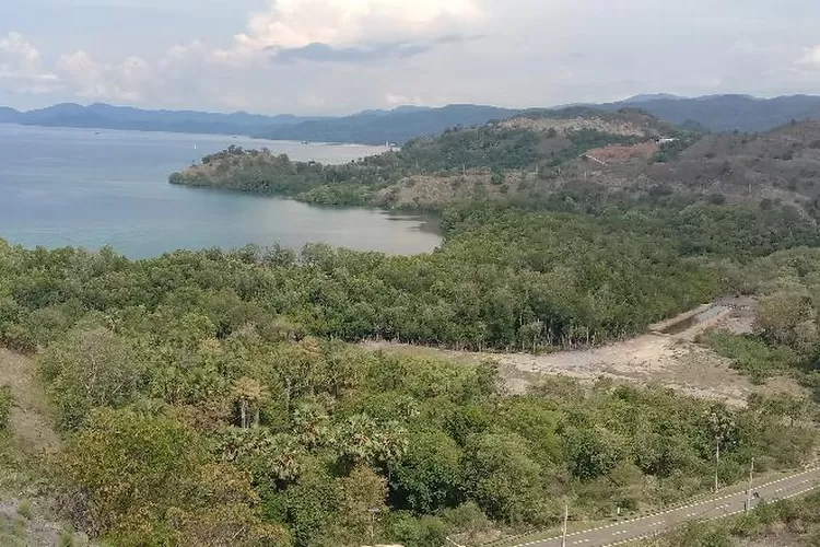 Panorama Pantai Labuan Bajo dari atas bukit Sylvia Labuan Bajo NTT (Feliks Janggu )