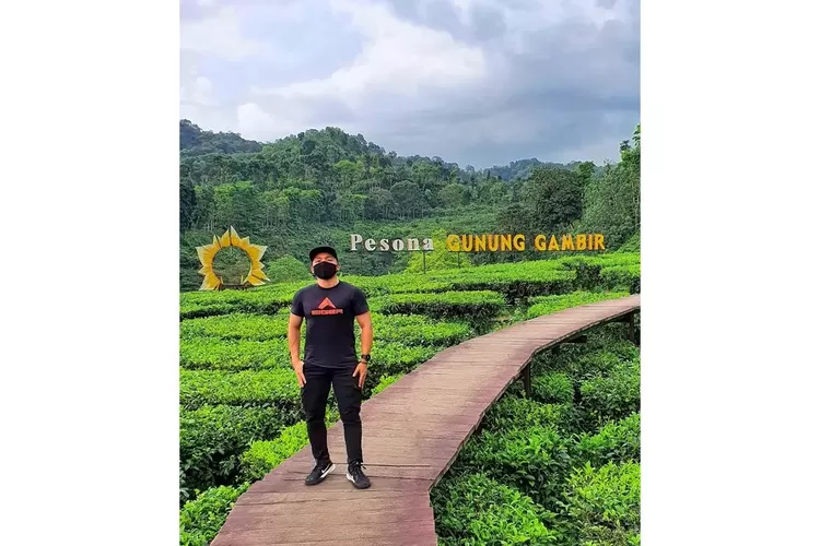 Kebun Teh Gunung Gambir, salah satu destinasi wisata alam di Jember Jawa Timur (Instagram @agungwr1)