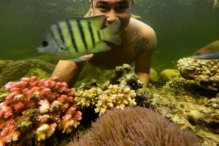 Keindahan bawah laut di Pulau Lemukutan Bengkayang, salah satu tempat wisata di Kalimantan Barat (Instagram @ivanlayobabaro)