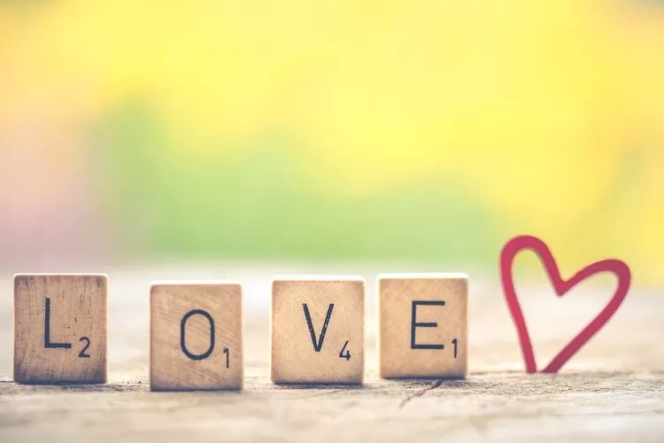 Cara Mengetahui Sifat Pasangan sebelum Anda Jatuh Cinta (Pixabay/Ylanite)