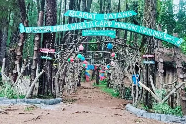 Hutan Pinus Bissoloro, tempat wisata paling populer di Gowa, Sulawesi Selatan (Akun Instagram @wisatahutanpinusbissoloro)