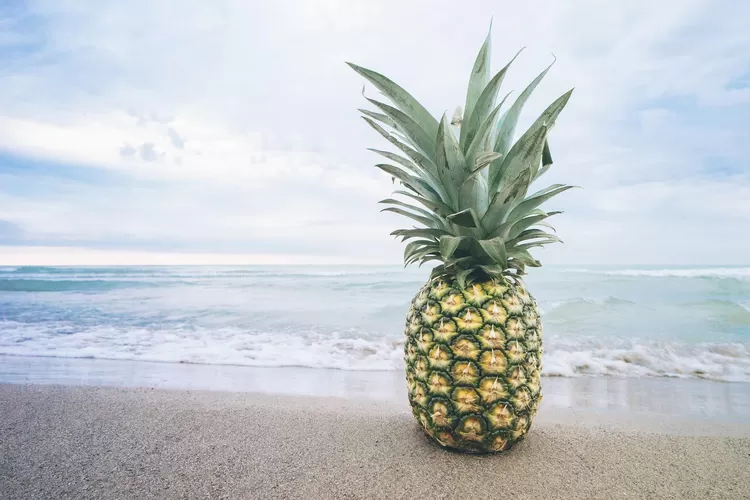 Lihat Apa Yang Terjadi Jika Kebanyakan Makan Buah Nanas Bisa Bikin