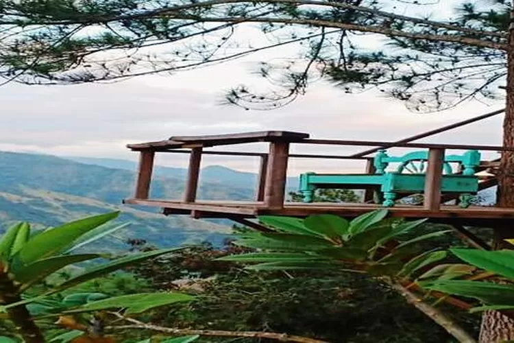 Jelajahi Dante Pine Enrekang, destinasi wisata terpopuler di Enrekang, Sulawesi Selatan (instagram @mila_alimran)