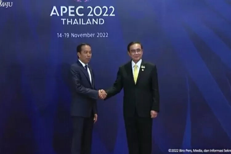 Hadiri KTT APEC, Jokowi: Perkuat Kemitraan Ekonomi Digital dan Ekonomi Hijau Kawasan (Tangkapan layar)