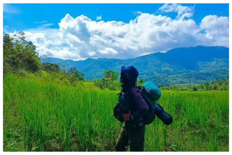 Rute Perjalanan &lsquo;Bukit Sepancong&rsquo; di Kabupaten Bengkayang, Kalimantan Barat ( Instagram /@Bukit_sepancongpayang)