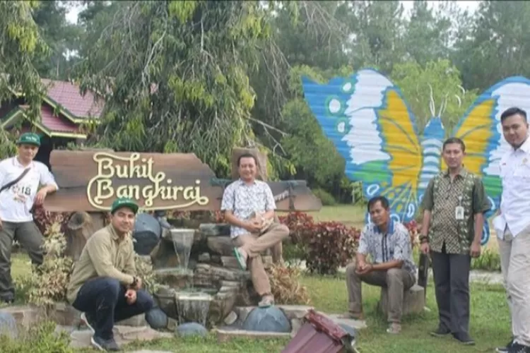 Bukit Bangkirai merupakan destinasi wisata alam di Kalimantan Timur bernuansa hutan tropis  (Instagram @bukitbangkirai)