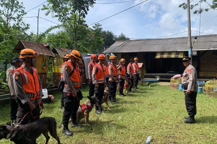 Tim satwa diterjunkan dalam pencarian korban bencana Gempa Bumi di Cianjur  (istimewa )