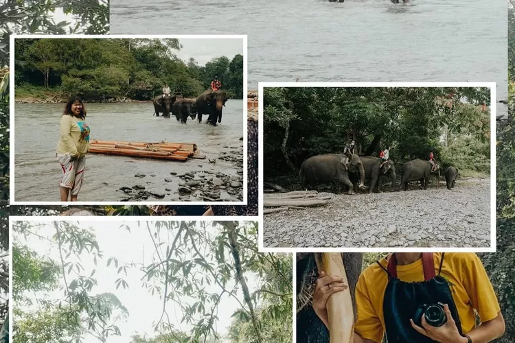 Bermain bersama Gajah di Tempat wisata Tangkahan Langkat Sumatera Utara (Instagram ipendut)