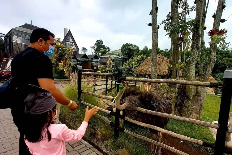 Keistimewaan destinasi wisata Lembang Park and Zoo wisata paling hits ala Jerman di Bandung (Akun Instagram @yuliaswarini)