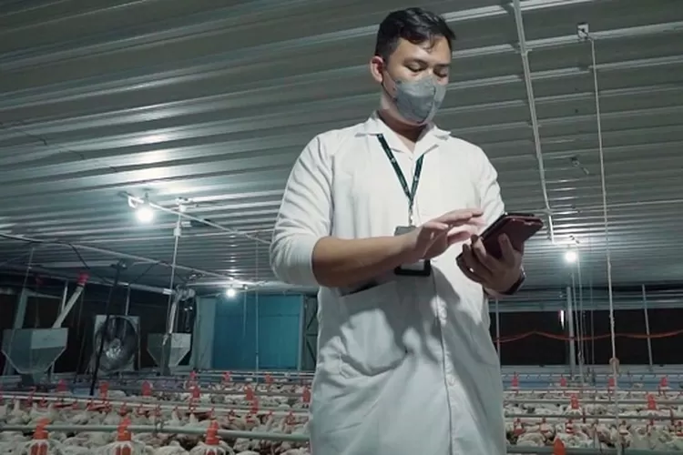 IoT Smart Poultry Farming System dari Antares Telkom bantu tambah pendapatan peternak ayam