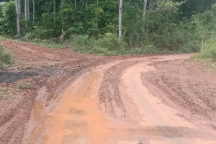 Jalan wisata menuju Air Terjun Cunca Wulang di Warsawe tertutup lumpur dari badan jalan tani, diabadikan Sabtu (3/12/2022) (Feliks Janggu )