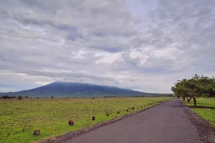 Mirip seperti di Afrika, inilah destinasi wisata Taman Nasional Baluran di Situbondo Jawa Timur (Instagram @btn_baluran)