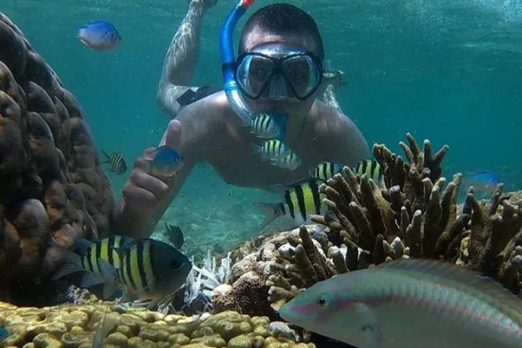 Pulau Tikus menjadi salah satu destinasi wisata alam di Bengkulu terfavorit dan terpopuler (Instagram @wisatapulautikus_3putra)