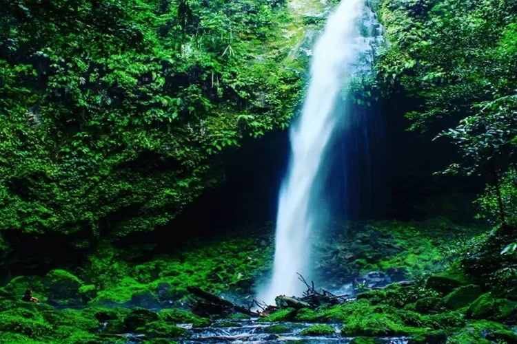 Air terjun yang ada di destinasi wisata Taman Wisata Alam Sicike Cike di Sumatera Utara (Instagram @wathasinaga)