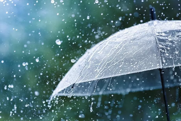 Prakiraan Cuaca Kota Pangkal Pinang Hari Ini Sabtu, 14 Januari 2023: Hujan di Siang Hari (Pixabay)