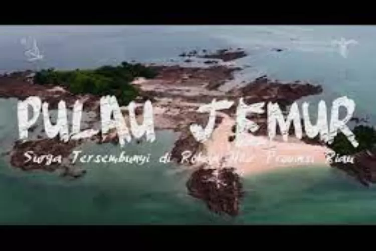 Ingin Refreshing? Berikut 3 Destinasi Wisata Alam Terbaik Di Rokan Hilir, Nomor 1 Paling The Best (Tangkapan Layar Youtube Channel Pariwisata Riau)