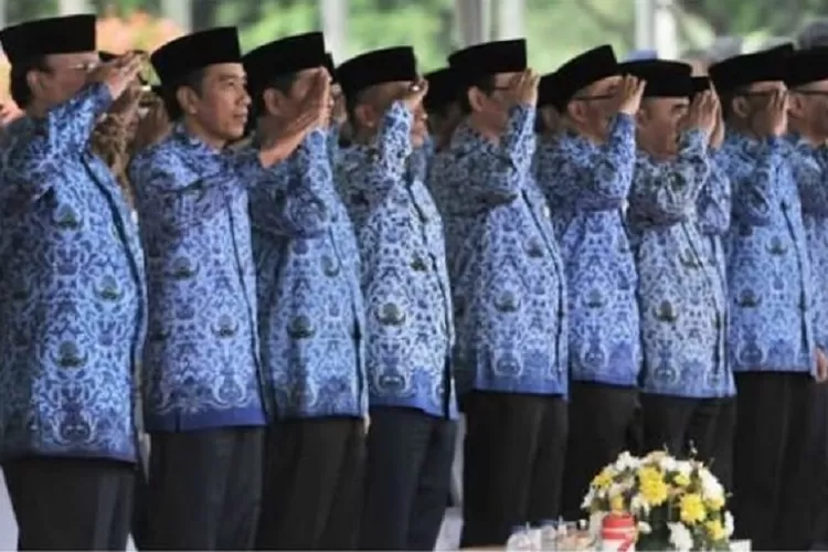 Isi RUU ASN 2023, Mengatur Pengangkatan Tenaga Honorer dan Syarat ASN Diberhentikan 