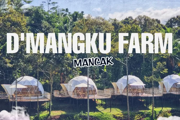  Destinasi Wisata Baru D&rsquo;Mangku Farm Serang Banten (Tangkapan Layar Youtube /ASC News Cilegon)