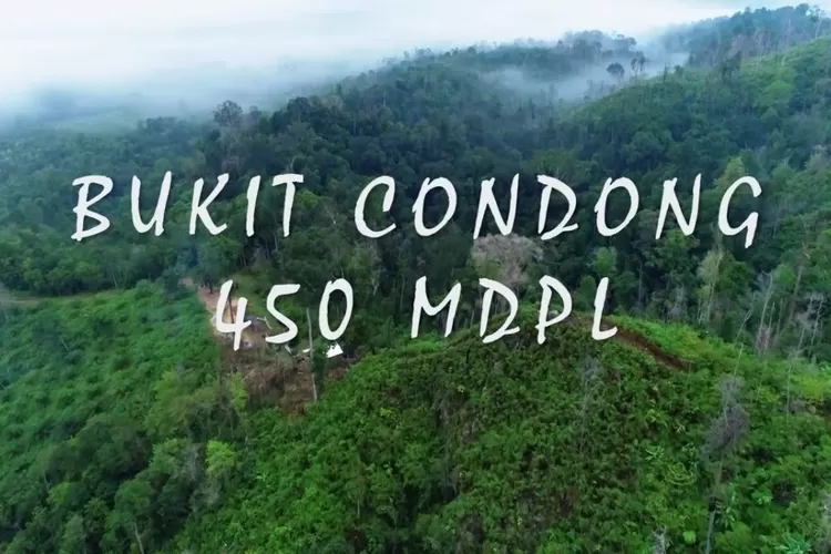 Keindahan Alam Bukit Condong salah satu destinasi wisata di Inhil, Riau (Tangkapan Layar Youtube /Inhil Nan Molek)