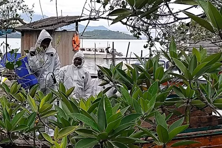 Petugas menyemprotkan pestisida ke pepohonan untuk mengatasi serbuan ulat bulu di Desa Jagoh, Kecamatan Singkep Barat, Kabupaten Lingga, Provinsi Kepulauan Riau.  (ANTARA/HO Camat Singkep Barat)