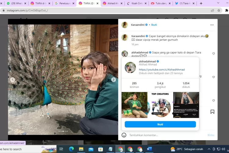 Tiara Andini (Cattan Fakta)