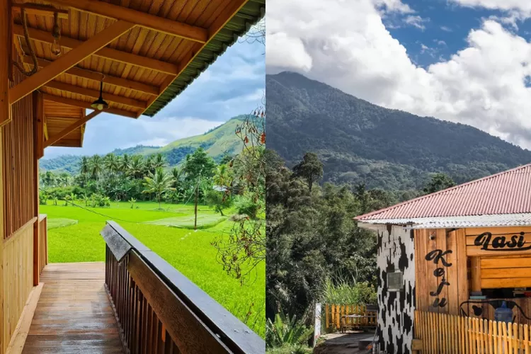 Sawah View (kiri), KejuLasi (kanan), rekomendasi tempat nongkrong sekaligus healing di Sumatera Barat (Instagram @sawahview @keju_lasi)