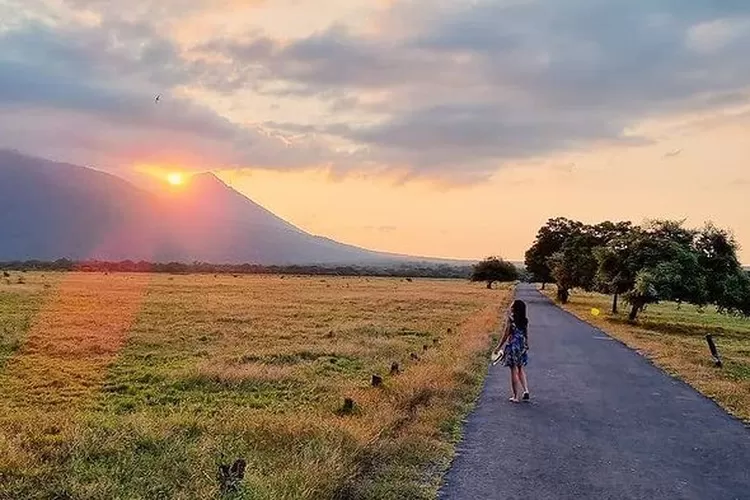 Destinasi wisata Taman Nasional Baluran di Situbondo Jawa Timur (Instagram @btn_baluran)