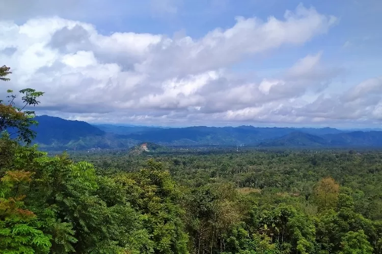 Puncak BRJ: 5 Tempat Wisata Alam Rekomendasi di Kabupaten Solok Selatan Cocok jadi Tujuan Liburan (Harian Haluan/Jefli )