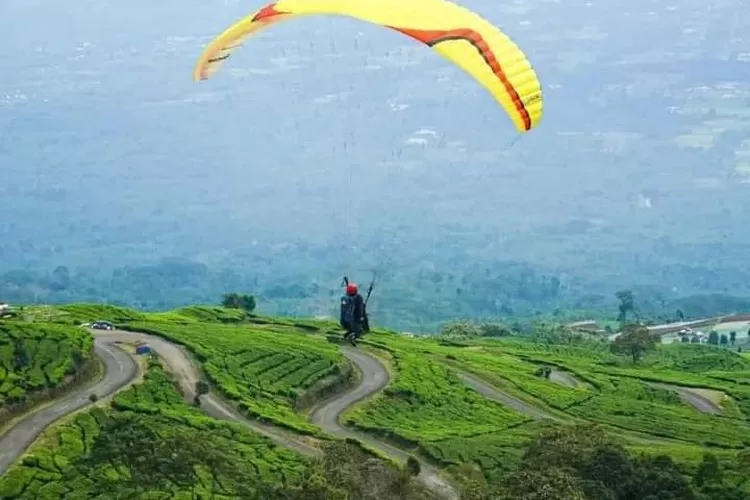 Destinasi wisata Paralayang Pagar Alam di Sumatera Selatan (Instagram @wisata.pagaralam)