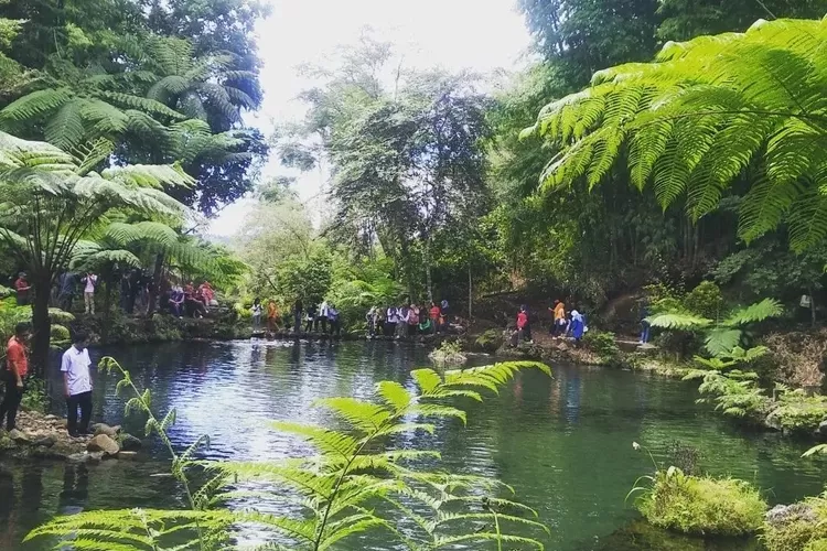 Destinasi wisata di Sumatera Selatan, Green Paradise dan Air Terjun Lematang Indah (Instagram @wisata.pagaralam)