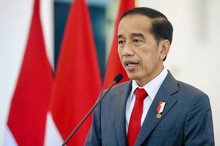 Berkomentar tak pantas terhadap Presiden Jokowi, seorang netizen dipecat dari tempatnya bekerja (Istimewa)