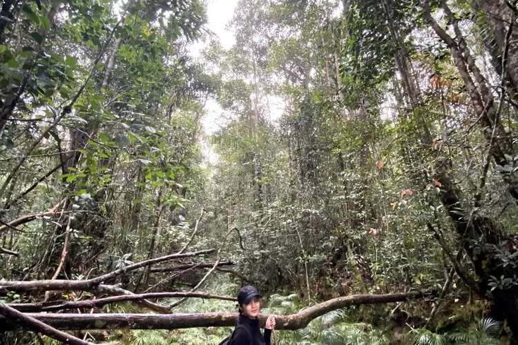 Jelajah hidden gem sekaligus destinasi wisata Kampung Long Melaham di Mahakam Ulu (Instagram @fllysythiro)