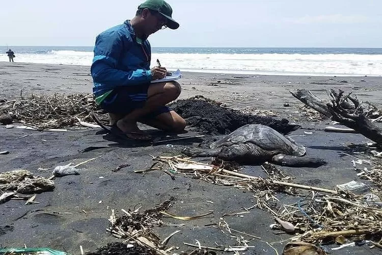 Sirnanya Keindahan Pantai Perancak di Bali (Instagram @punapibali)