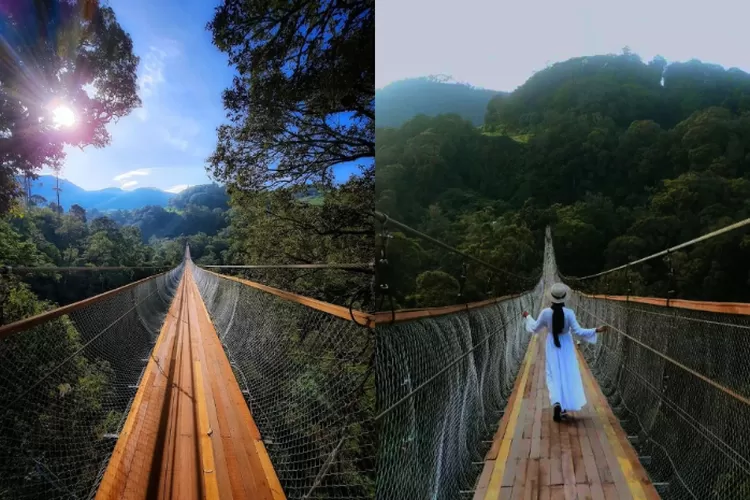 Menyusuri keindahan jembatan terpanjang se-Asia di Ciwidey Bandung, Jembatan Gantung Rengganis (Instagram @wisatakawahrengganis)
