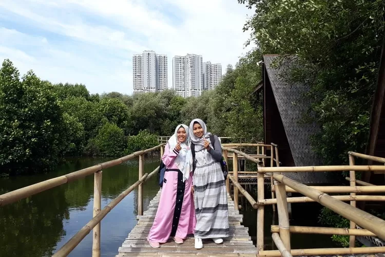 Hutan Mangrove Pantai Indah Kapuk Jakarta jadi salah satu tempat wisata hutan terbaik di Indonesia (Instagram @arum_cahyati)