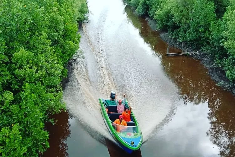 Potret pesona Singkawang Mangrove Park, destinasi wisata alam di Singkawang (Akun Instagram @singkawangmangrovepark)