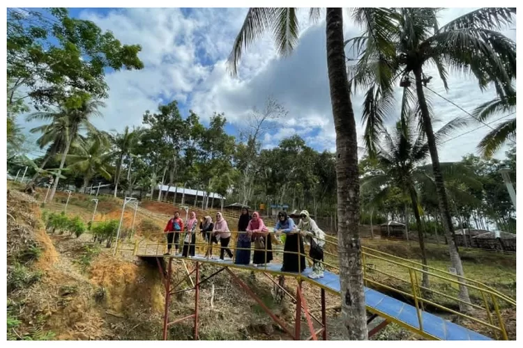 Destinasi wisata Riam Mahoni di Binuang Kalimantan Selatan (Instagram @riammahony)