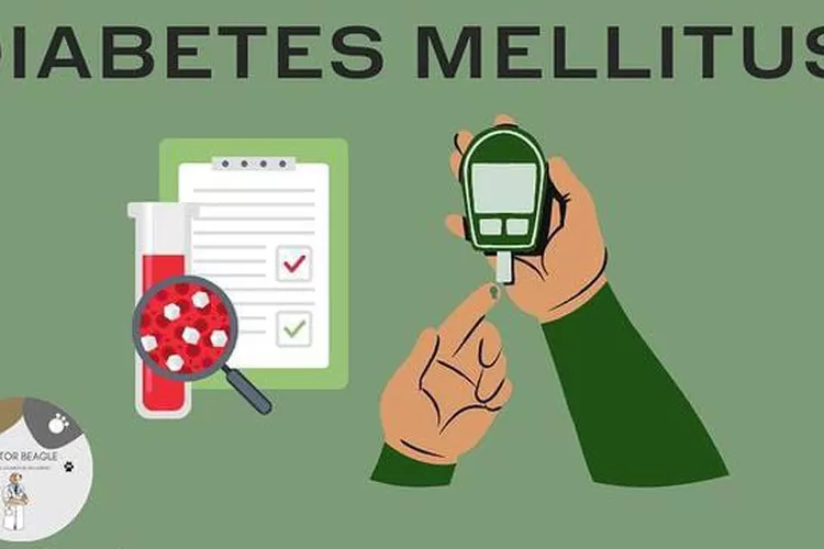 Penyakit diabetes harus dicek secara rutin setiap bulan untuk mengetahui kadar gula darah 