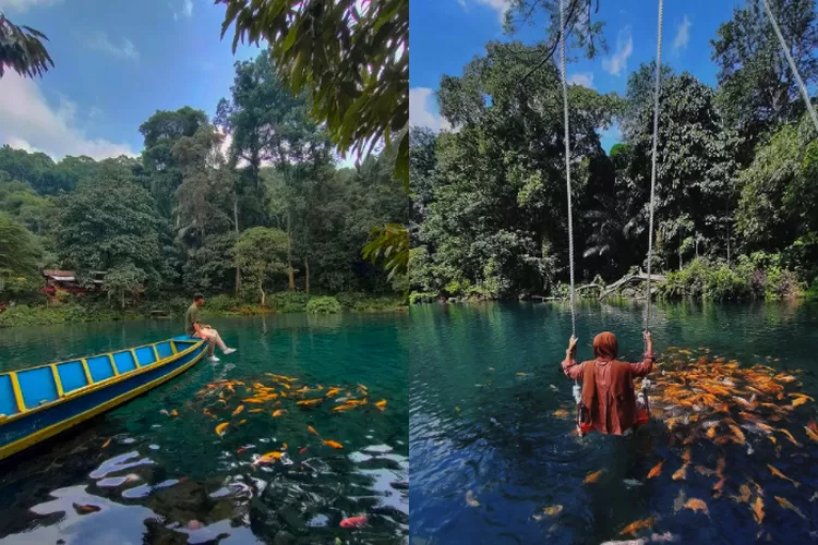 Situ Cipanten, salah satu rekomendasi destinasi wisata alam di Majalengka (Instagram @situcipanten_mjlk)