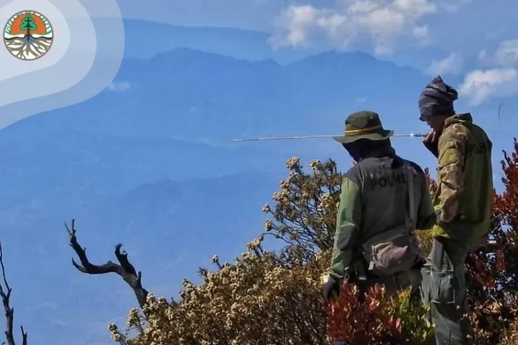 Lulusan ini bisa daftar PPPK Tenaga Teknis 2022 di KLHK, berikut rincian jabatan untuk SMK, D3, D4, S1, dan S2. (menlhk.go.id)